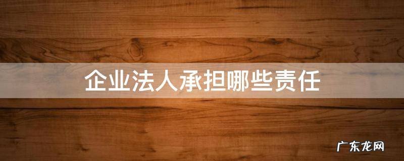 企业法人应该承担什么责任 企业法人承担哪些责任