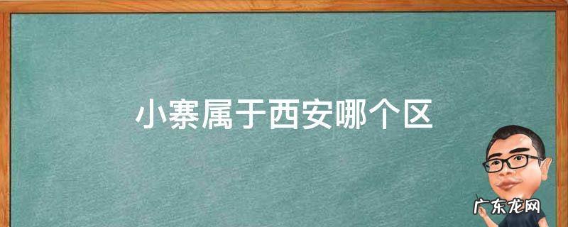 小寨属于西安哪个区 西安小寨是什么区