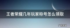 王者荣耀几年玩家称号怎么领取 王者荣耀几年玩家称号怎么领取啊