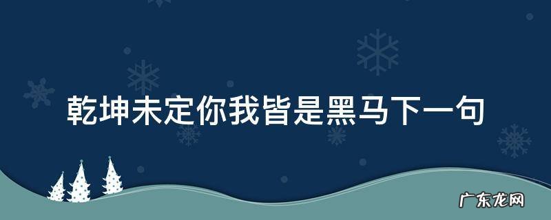 乾坤未定你我皆是黑马下一句搞笑 乾坤未定你我皆是黑马下一句