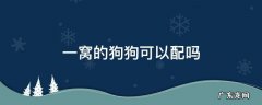 一窝的狗狗可以配吗 同一窝的狗能配狗吗