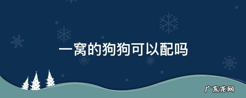 一窝的狗狗可以配吗 同一窝的狗能配狗吗