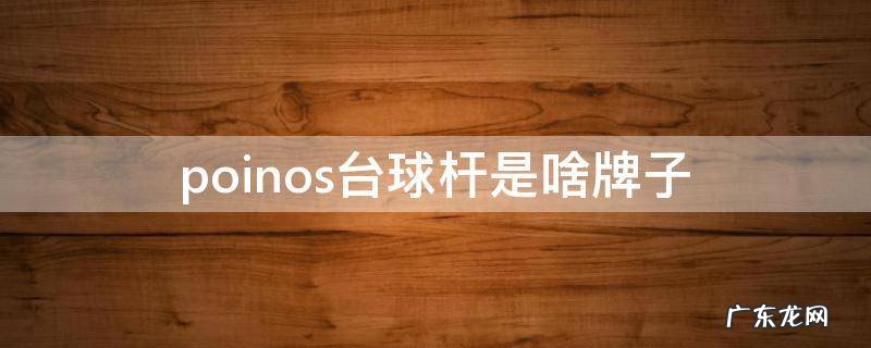 poinos台球杆是啥牌子 poinos球杆怎么样