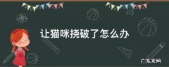 让猫咪挠破了怎么办 猫把自己挠破了怎么处理