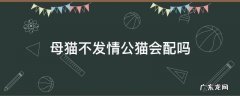 母猫不发情公猫会配吗