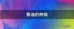 泰迪的种类 泰迪的种类有几种图片