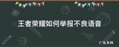 王者荣耀怎样举报不良语音 王者荣耀如何举报不良语音
