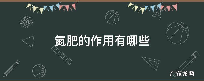 肥料中氮的作用是什么 氮肥的作用有哪些