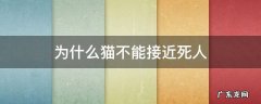 为什么猫不能接近死人 为什么猫不能接近死人?这不是迷信