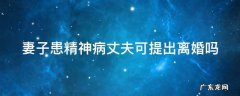 妻子患精神病丈夫可提出离婚吗 妻子患精神病丈夫可提出离婚吗