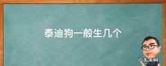 泰迪狗一般生几个 泰迪狗一般生几个小时