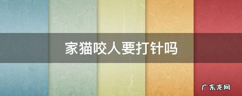 猫有打针的咬人了要打针吗 家猫咬人要打针吗