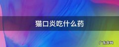 猫口炎吃什么药 猫口炎吃什么药可以治