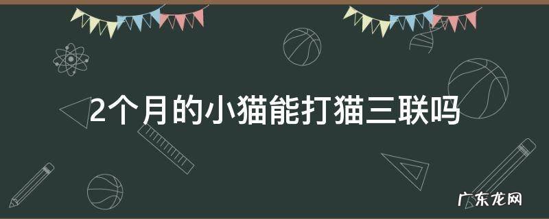 小猫三联几个月可以打 2个月的小猫能打猫三联吗
