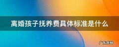 离婚孩子抚养费具体标准是什么