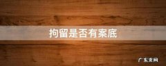 拘留是否有案底 拘留才有案底吗