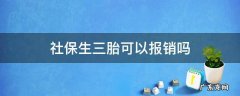 三胎生孩子社保能报销吗 社保生三胎可以报销吗