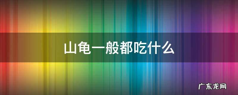 山龟最喜欢吃什么食物 山龟一般都吃什么