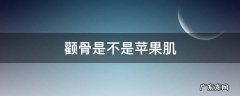 颧骨是不是苹果肌 颧骨和苹果肌怎么区分