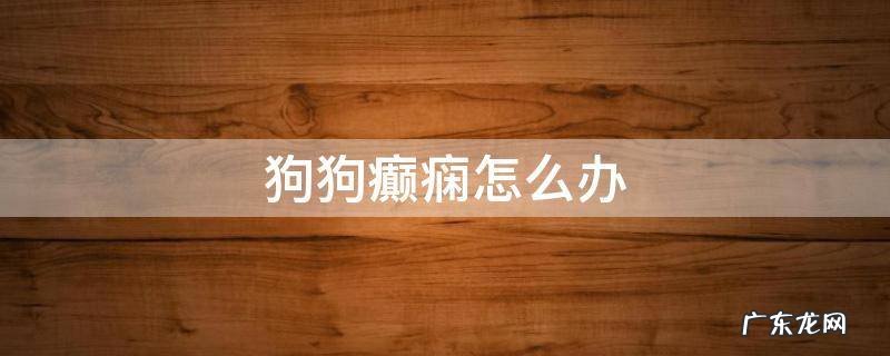 狗狗癫痫怎么办