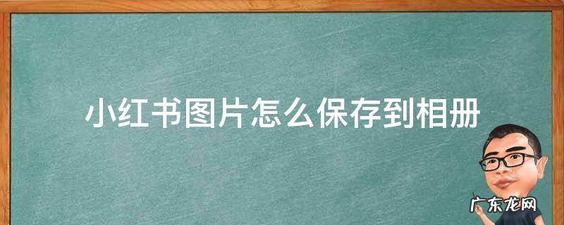 小红书图片怎么保存到相册去水印 小红书图片怎么保存到相册