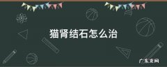 猫得了肾结石怎么治 猫肾结石怎么治