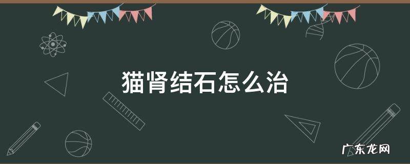 猫得了肾结石怎么治 猫肾结石怎么治