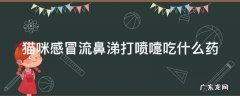 猫咪感冒流鼻涕打喷嚏吃什么药 猫咪发烧摸哪个部位最明显