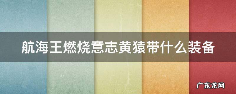 航海王燃烧意志黄猿带什么装备 航海王燃烧意志ssr黄猿最强加点