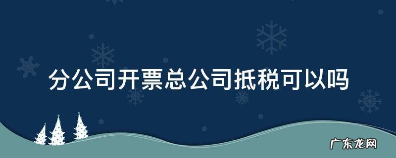 分公司开票总公司抵税可以吗 分公司能用总公司的税票抵扣吗?