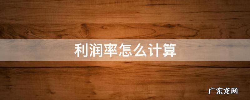 利润率怎么计算 利润率怎么计算公式