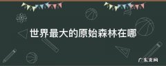 世界最大的原始森林在哪里 世界最大的原始森林在哪