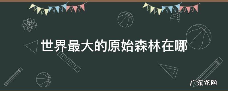 世界最大的原始森林在哪里 世界最大的原始森林在哪