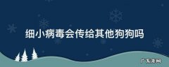 狗狗细小病毒会相互传染其它狗狗吗 细小病毒会传给其他狗狗吗