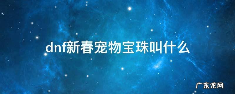 dnf2017宠物宝珠叫啥 dnf新春宠物宝珠叫什么