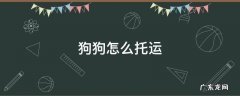 狗狗怎么托运 狗狗托运多少钱