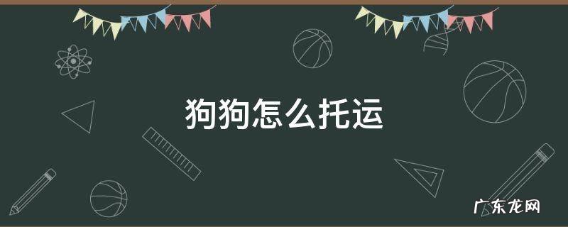 狗狗怎么托运 狗狗托运多少钱