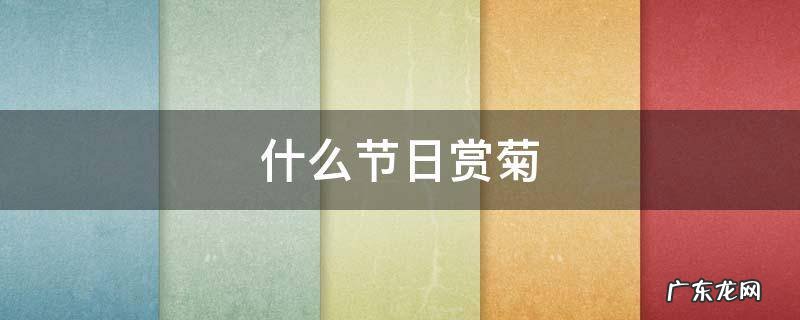 什么节日赏菊 什么节日赏菊花