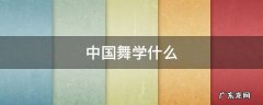 中国舞学什么舞种 中国舞学什么