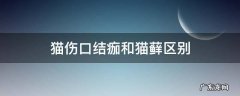 猫结痂和猫藓的区别 猫伤口结痂和猫藓区别