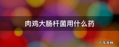 肉鸡大肠杆菌用什么药治疗效果好 肉鸡大肠杆菌用什么药