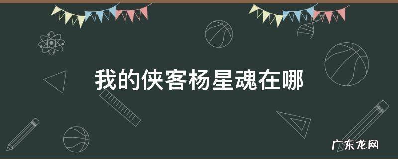 我的侠客杨星魂在哪 我的侠客杨星魂位置