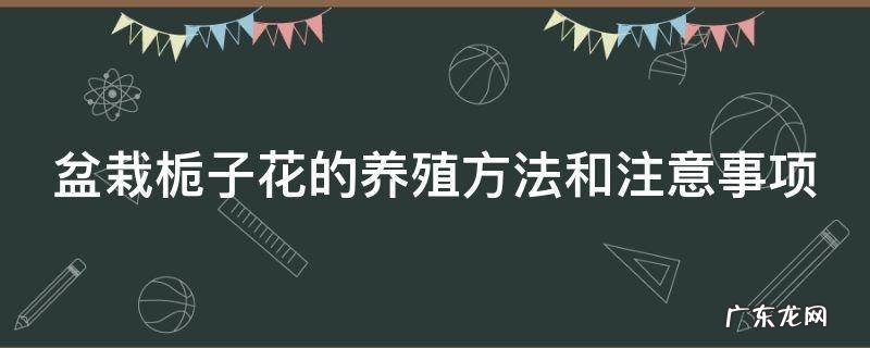 盆栽栀子花的养殖方法和注意事项 盆栽栀子花的养殖方法和注意事项有哪些