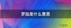 歌曲心上的罗加,罗加是什么意思 罗加是什么意思