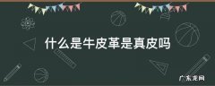 牛皮革是牛皮吗是真皮吗 什么是牛皮革是真皮吗