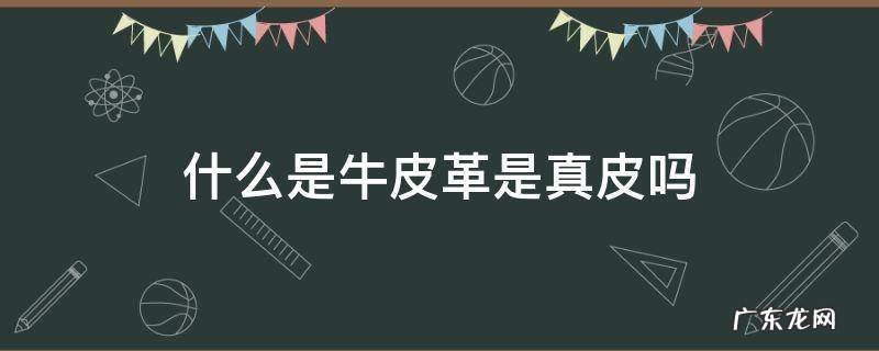 牛皮革是牛皮吗是真皮吗 什么是牛皮革是真皮吗