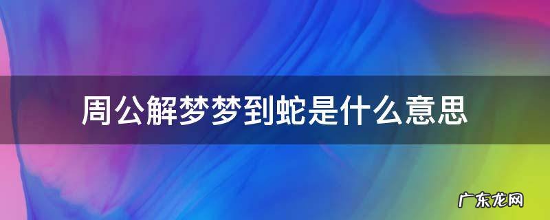 周公解梦梦到蛇是什么意思 梦的解析梦见蛇是什么意思