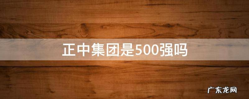 正大集团是中国500强吗 正中集团是500强吗