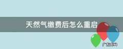 天然气网上交完费怎么重启 天然气缴费后怎么重启