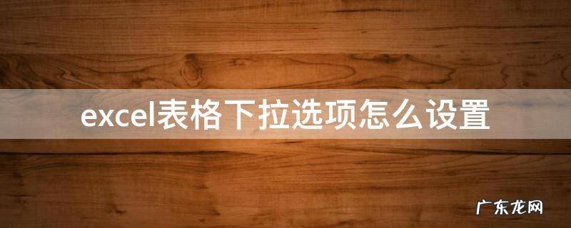 excel表格下拉选项怎么设置 excel表格下拉选项怎么设置填入其它文字